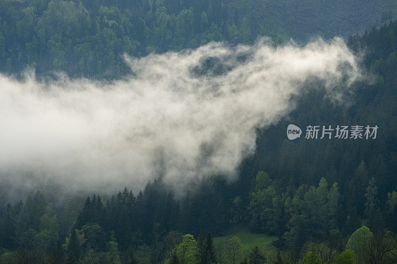 春天在Zgornje Jezersko山谷森林上空的云层